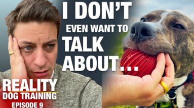 Do you know how many people are going to troll me over this? [Reality Dog Training EP 9]