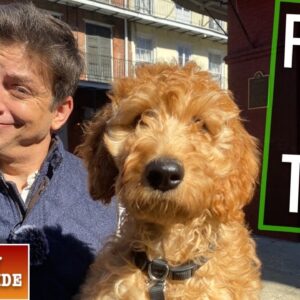 How To Train Your Dog to NOT LOSE Their MIND When You Go Anywhere! (EP: 11)