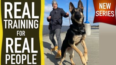 Reality Dog Training REVEALED!