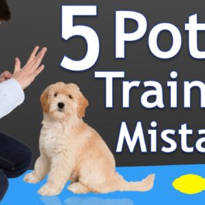 The 5 Most Common Potty Training Mistakes