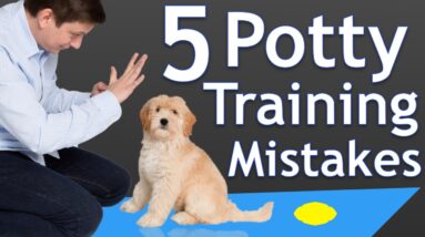 The 5 Most Common Potty Training Mistakes