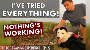 Watch What I Do When My Training Isn’t Working!
